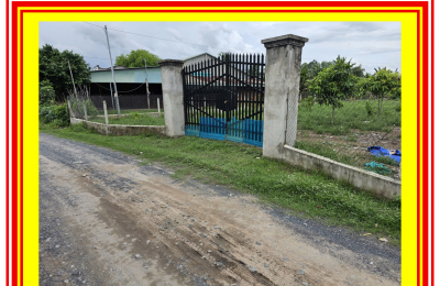 Bán lô đất 1250m² thổ cư 100m², đường xe tải vào tận nơi, sổ sẵn, chủ ngộp cần bán gấp